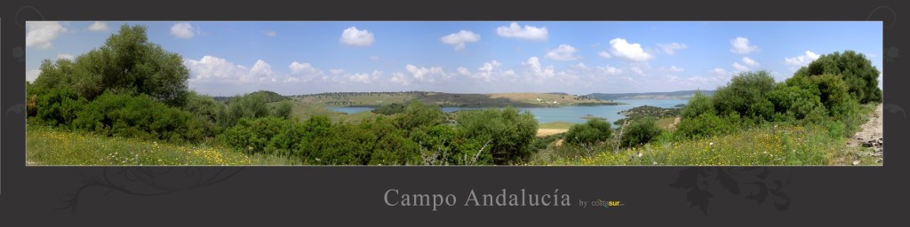 Panorama-2014-Campo (Large)