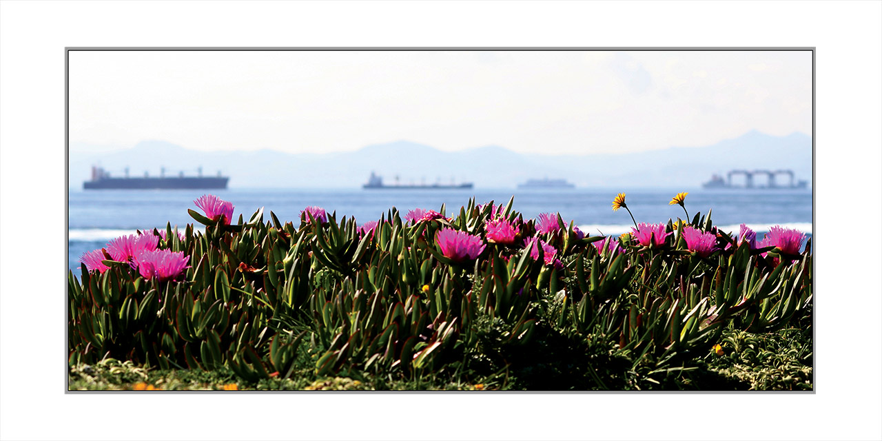 La-Isla-Paloma-Tarifa-01