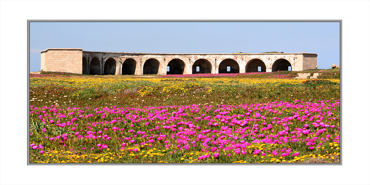 La-Isla-Paloma-Tarifa-04