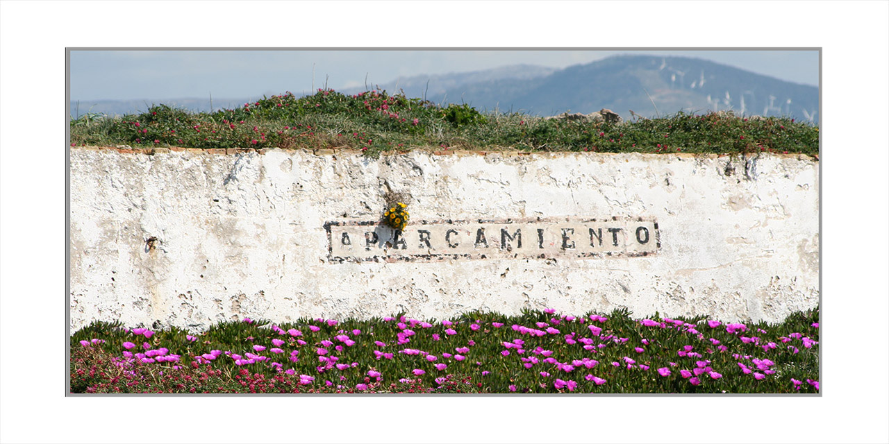 La-Isla-Paloma-Tarifa-11