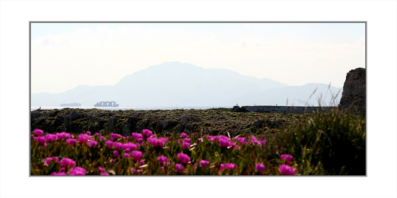 La-Isla-Paloma-Tarifa-19