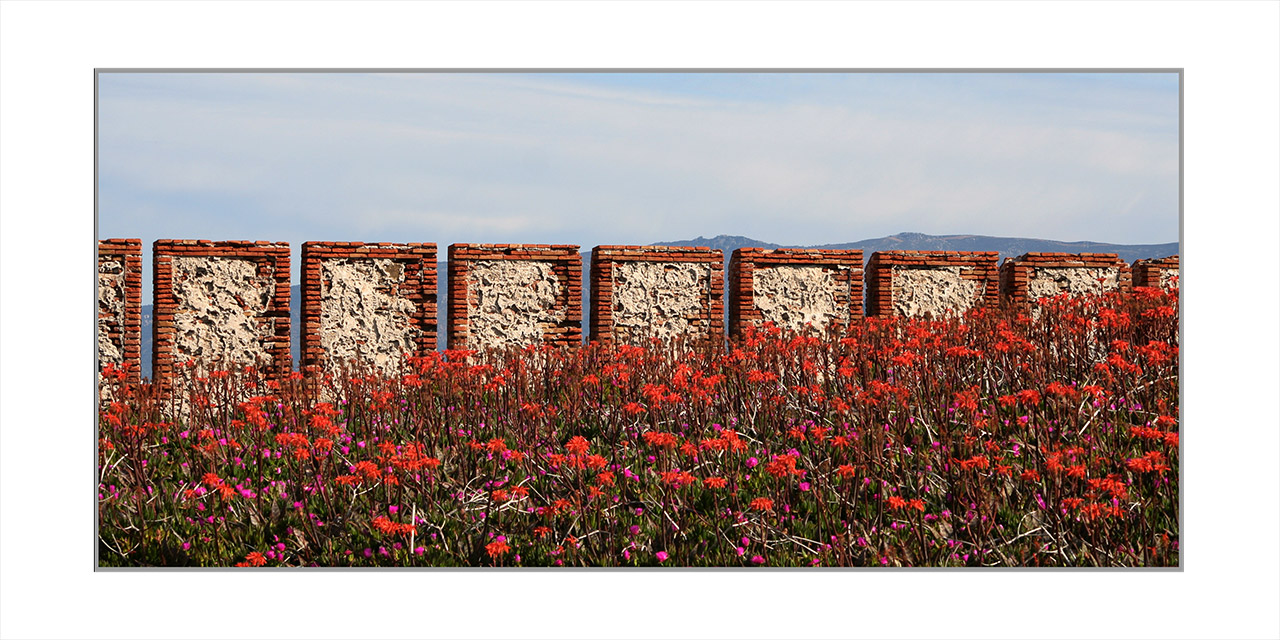 La-Isla-Paloma-Tarifa-20