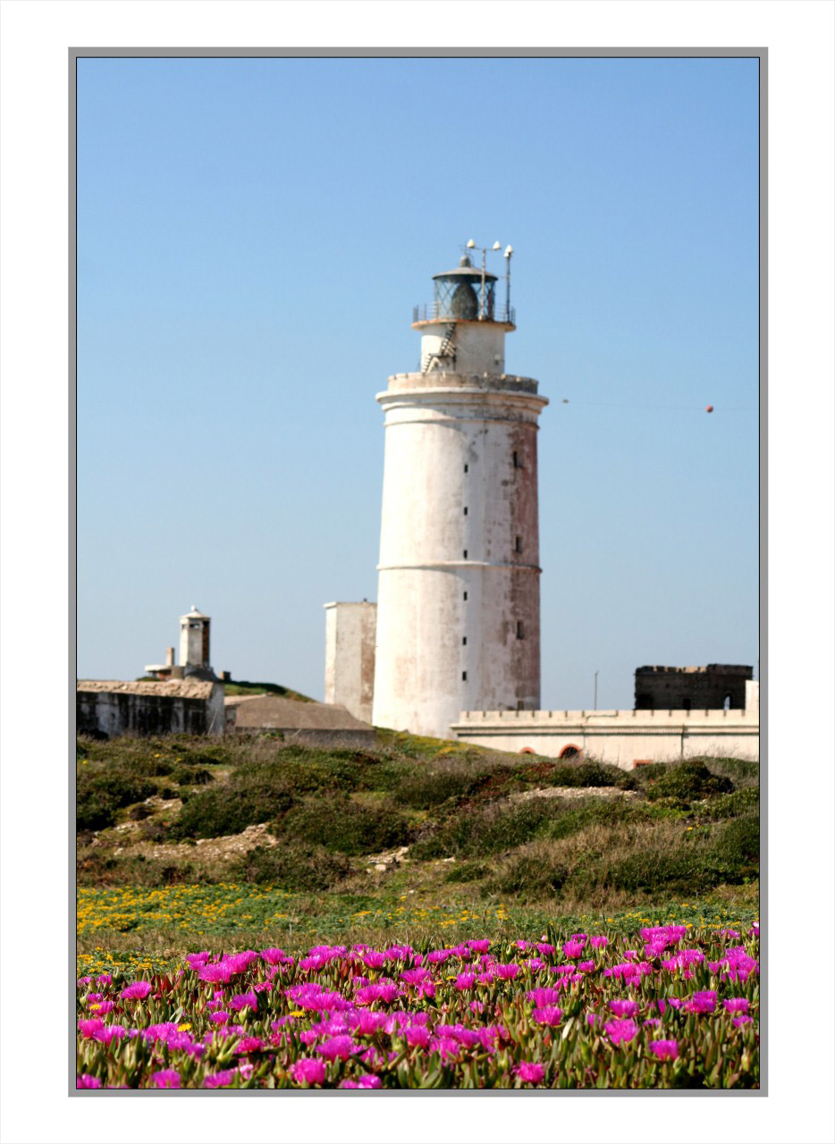 La-Isla-Paloma-Tarifa-22